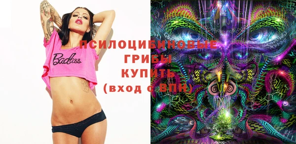 Альфа ПВП Баксан