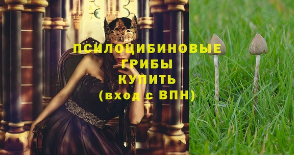 ECSTASY Армянск